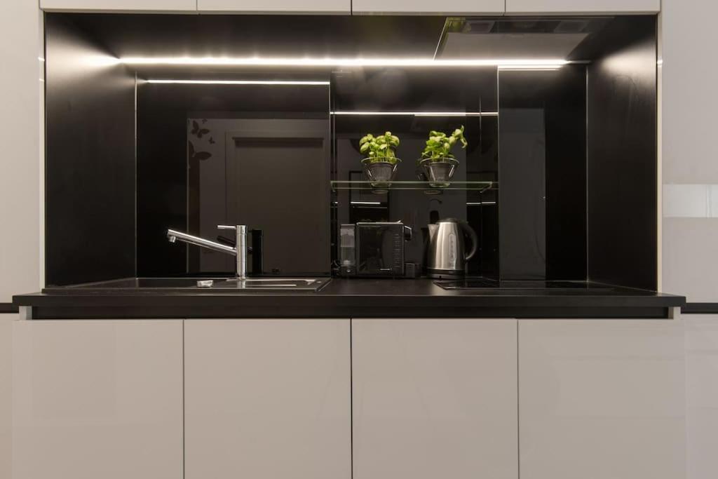 Gorgeous Central Flat With Garage Любляна Экстерьер фото