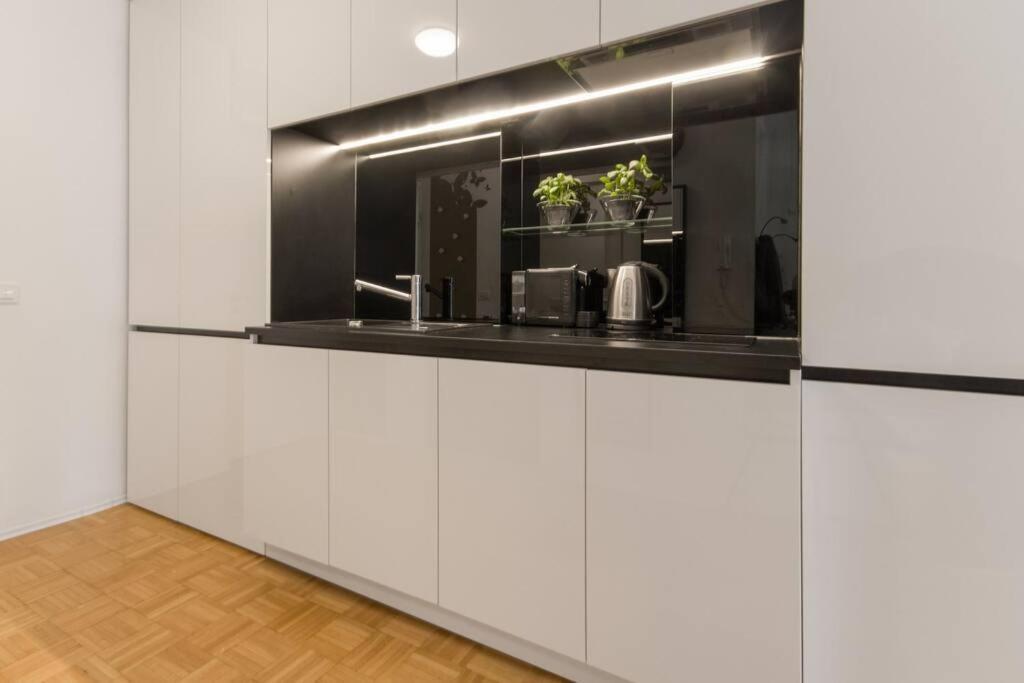 Gorgeous Central Flat With Garage Любляна Экстерьер фото